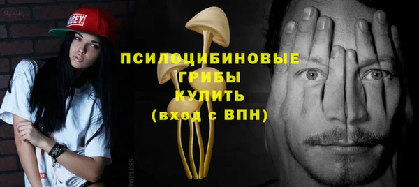МДМА Новодвинск
