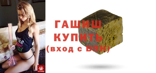 гидра Елабуга