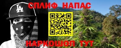 прущие грибы Апшеронск