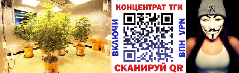 цены   кракен сайт  ТГК вейп  Великий Устюг 