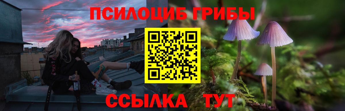 Галлюциногенные грибы Magic Shrooms  Вход с VPN  Великий Устюг  Псилоцибиновые грибы Cubensis 