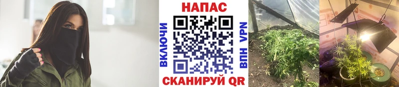 МАРИХУАНА гибрид  площадка клад  Великий Устюг 