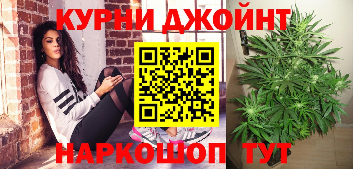 Канабис семена  Великий Устюг  Бошки марихуана OG Kush  Канабис индика 