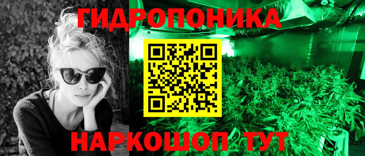 Шишки марихуана Amnesia  Бошки марихуана MAZAR  МАРИХУАНА сатива  Великий Устюг  Вход с VPN 